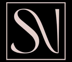 Studio V logo on dark